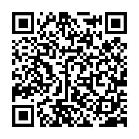 QR code for PAL451
