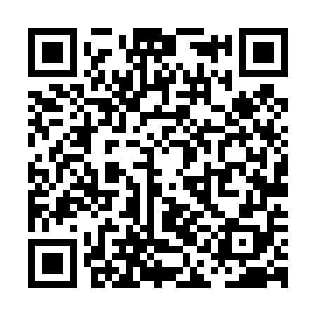 QR code for PAL458