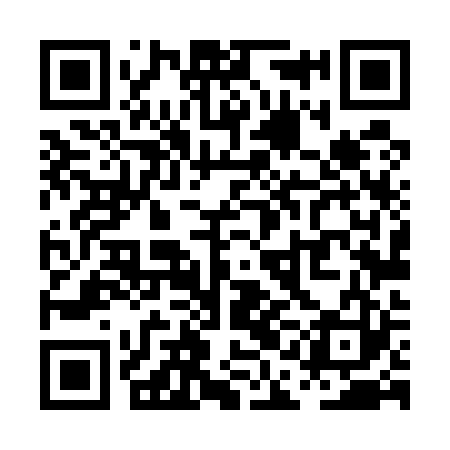 QR code for PAL523