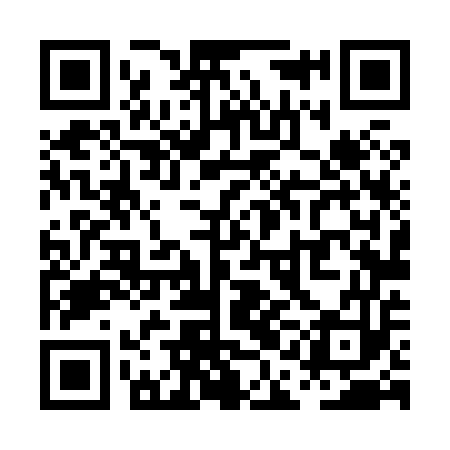 QR code for PAL853