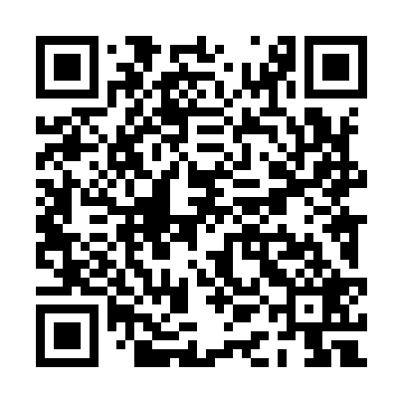 QR code for PAL929