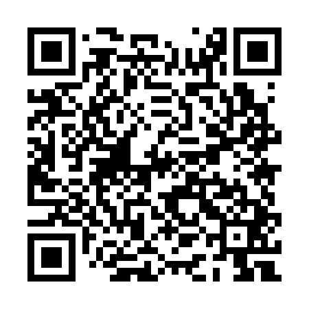QR code for PAM341