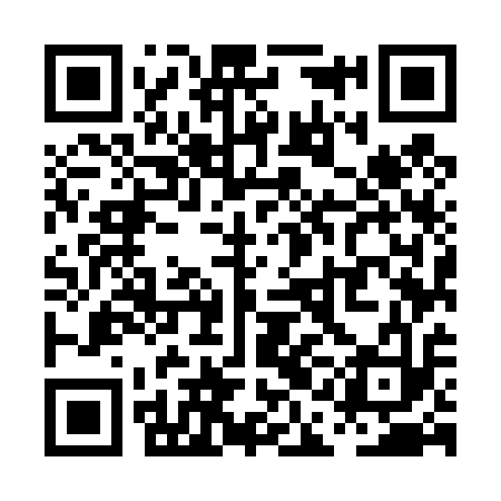 QR code for PAM413