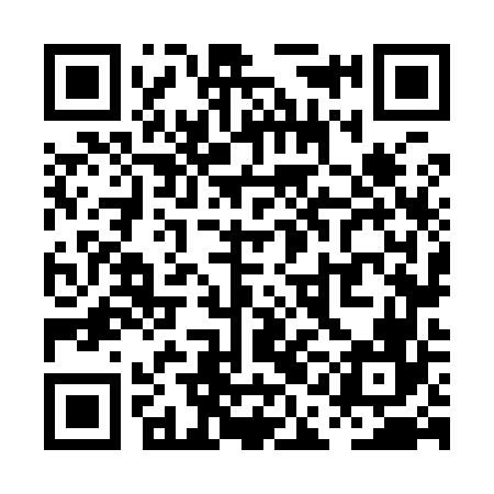 QR code for PAN966