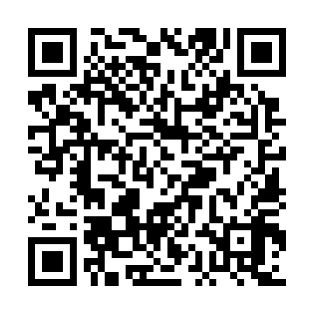 QR code for PAO318