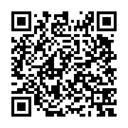 QR code for PAO478