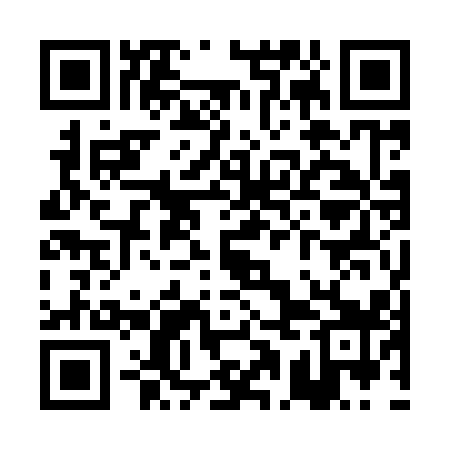 QR code for PAO919