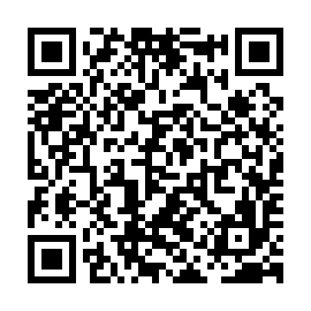 QR code for PAS196