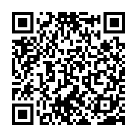 QR code for PAS371