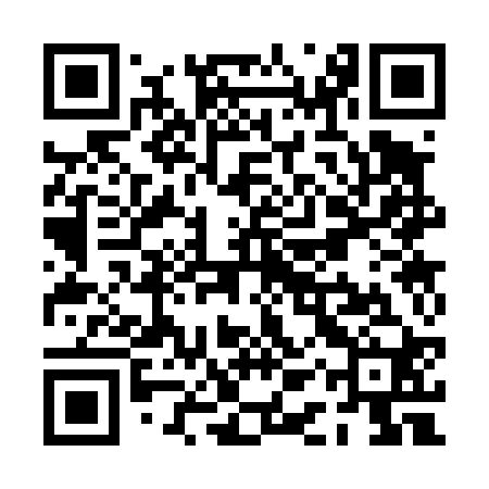 QR code for PAS420