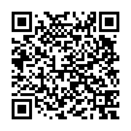 QR code for PAS438