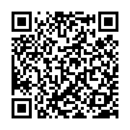 QR code for PAS489