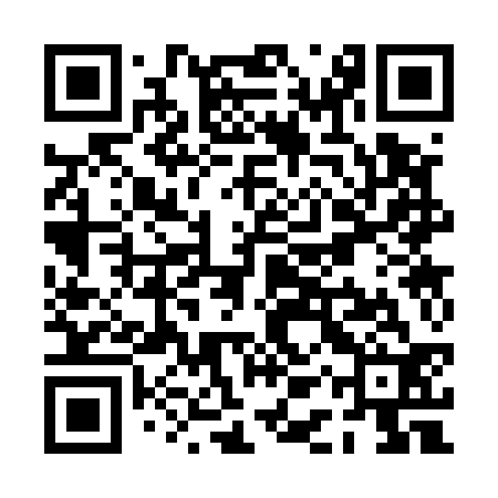 QR code for PAS532