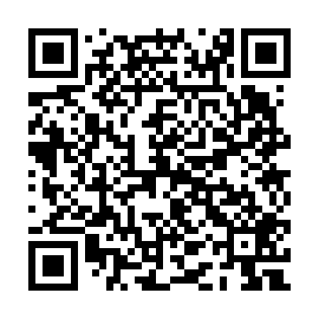 QR code for PAS609