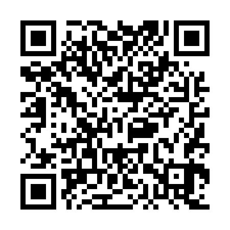 QR code for PAT563