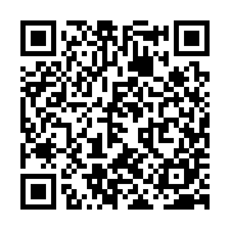 QR code for PAU385