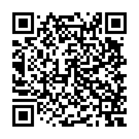QR code for PAU486