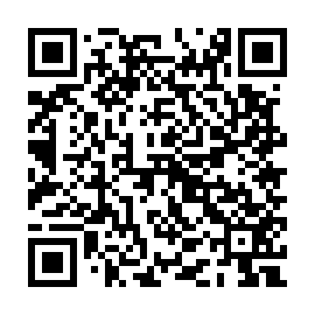 QR code for PAU553