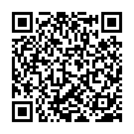 QR code for PAV231