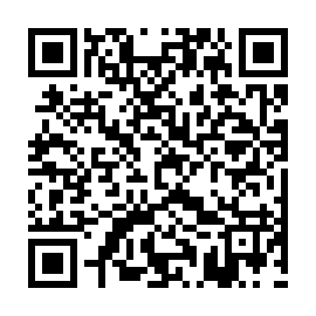 QR code for PAV397