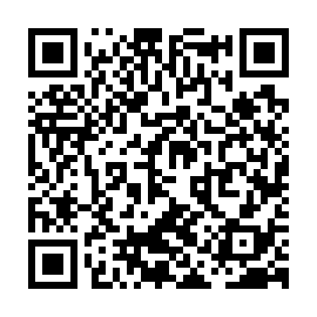 QR code for PAV738