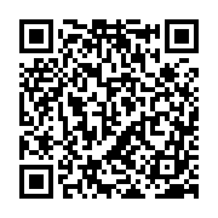 QR code for PAV963