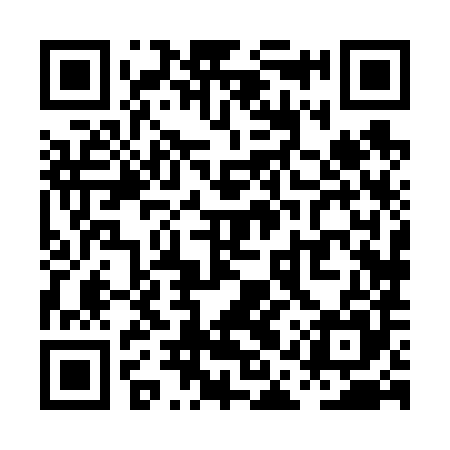 QR code for PAX685