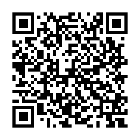 QR code for PAY100