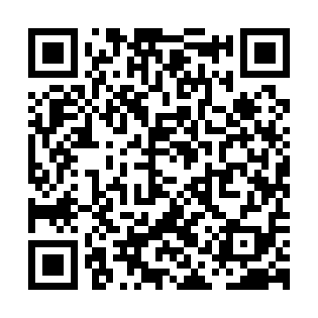 QR code for PAY119