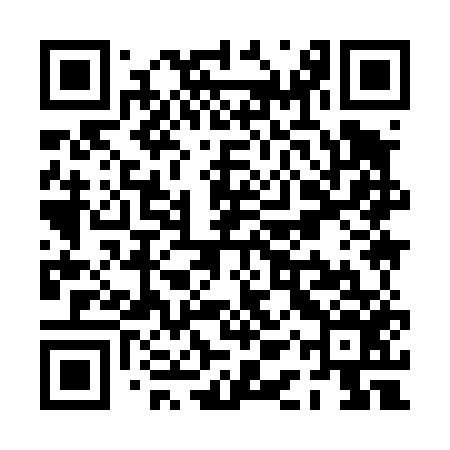 QR code for PAY456