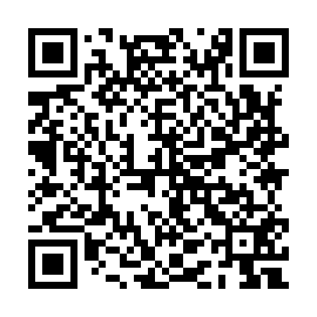 QR code for PAY951
