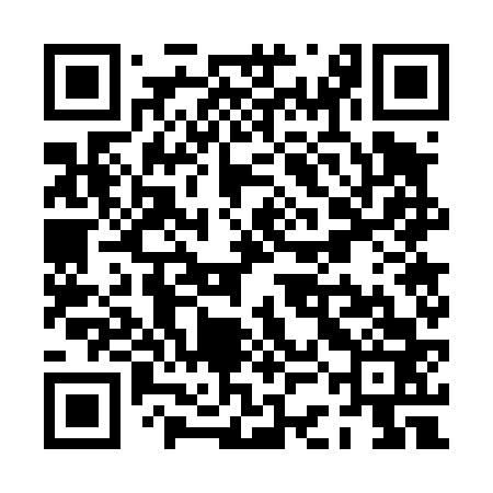 QR code for PCG463
