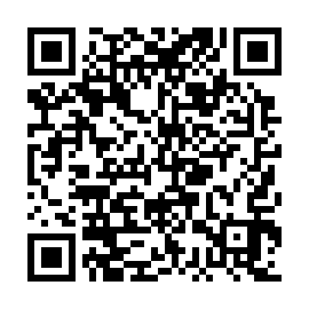 QR code for PCP313