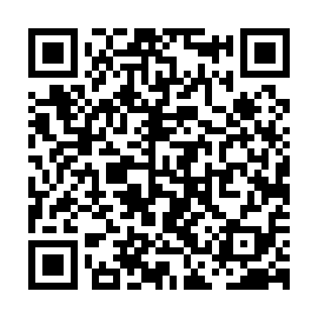 QR code for PCT119