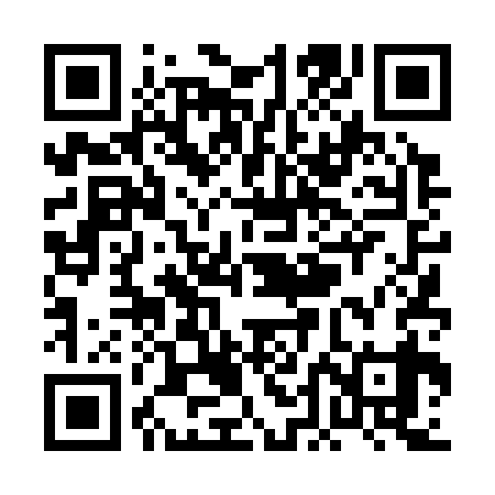 QR code for PDD339