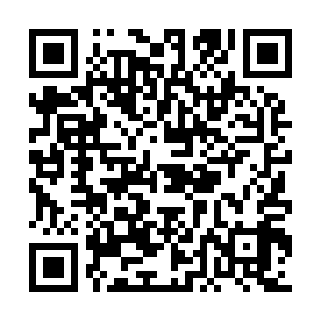 QR code for PDD919