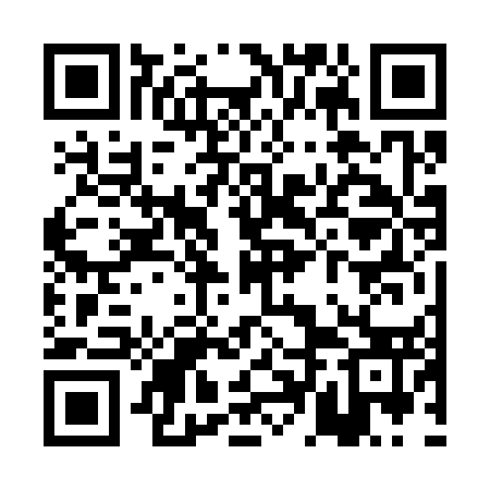 QR code for PDF353