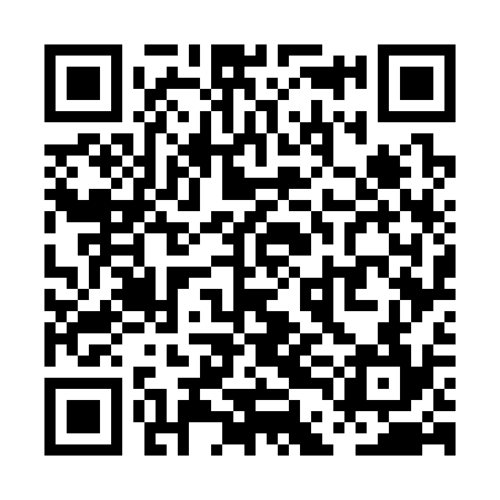 QR code for PDG334