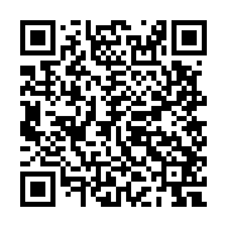 QR code for PDG542