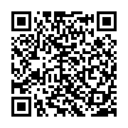 QR code for PDI119