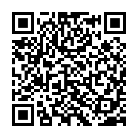 QR code for PDI198