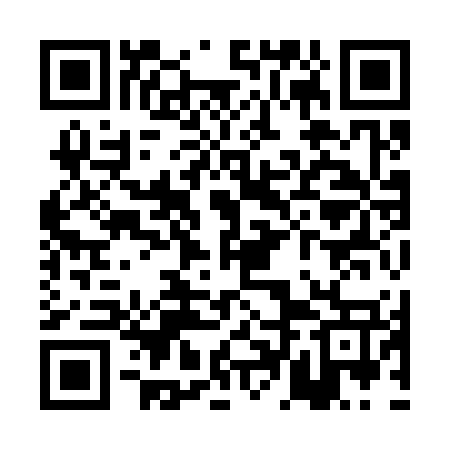 QR code for PDI377