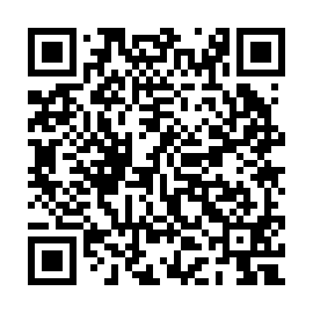 QR code for PDK291