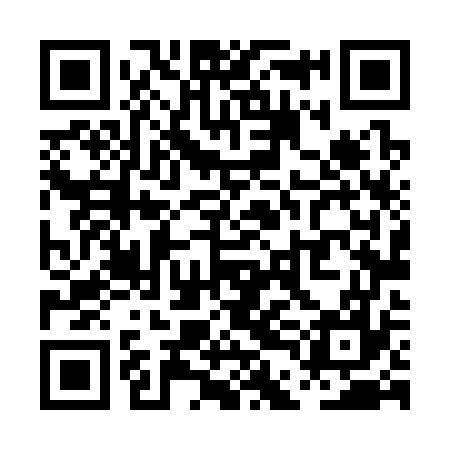 QR code for PDL377