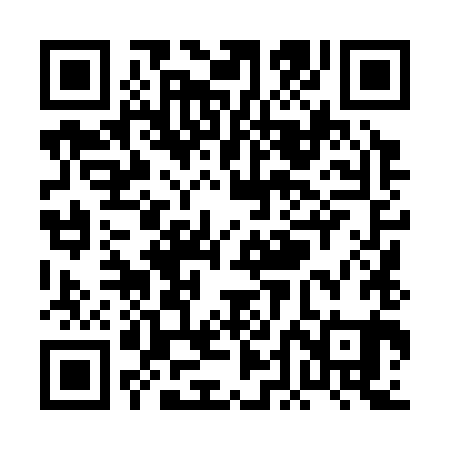 QR code for PDL381