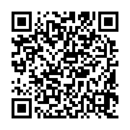 QR code for PDM387