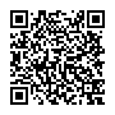QR code for PDM539