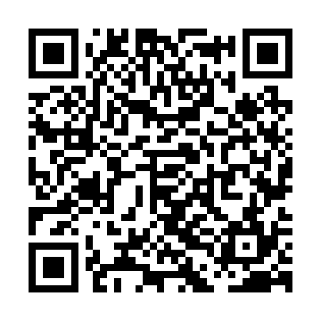 QR code for PDN234