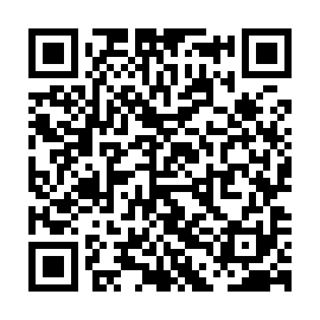 QR code for PDO991