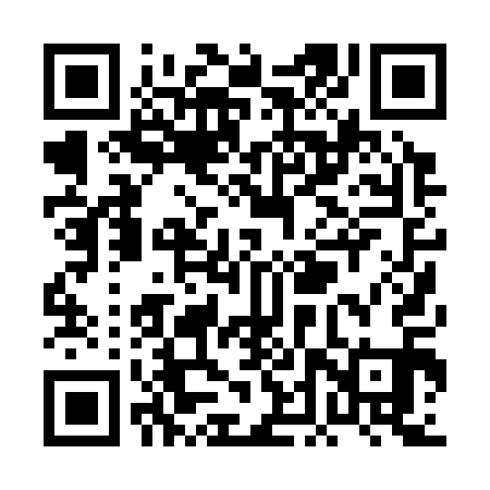 QR code for PDP311
